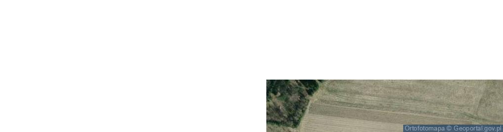 Zdjęcie satelitarne Podkarpacka ul.