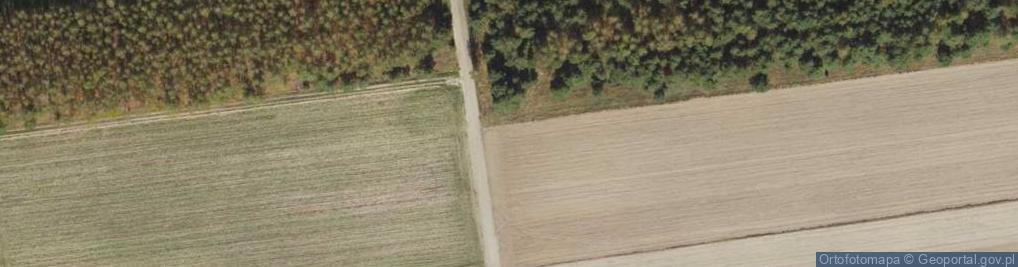 Zdjęcie satelitarne Powstańców ul.