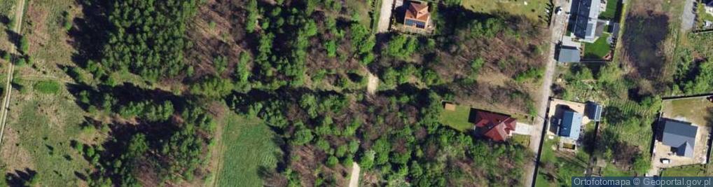 Zdjęcie satelitarne Podbipięty Longinusa ul.
