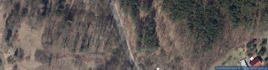 Zdjęcie satelitarne Podgórna ul.