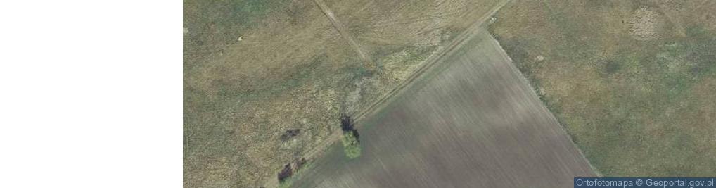 Zdjęcie satelitarne Polna ul.