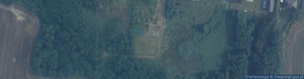 Zdjęcie satelitarne Posejdona ul.