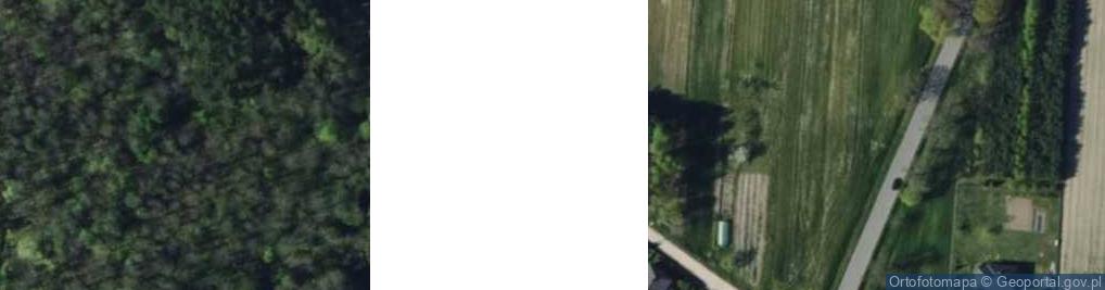 Zdjęcie satelitarne Polesie ul.