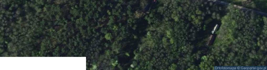 Zdjęcie satelitarne Polesie ul.