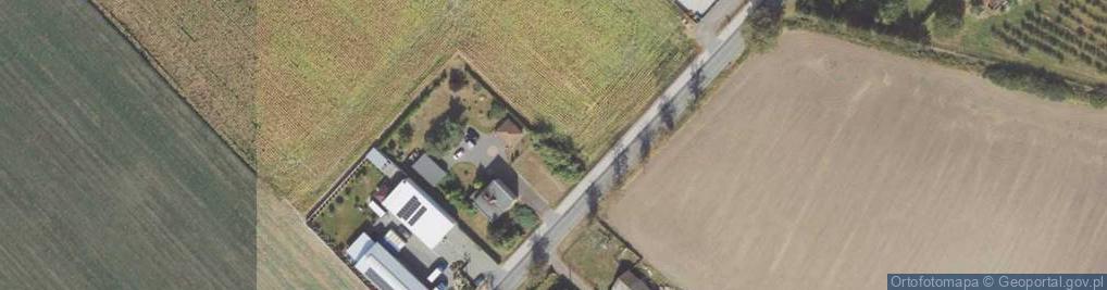 Zdjęcie satelitarne Powidzka ul.