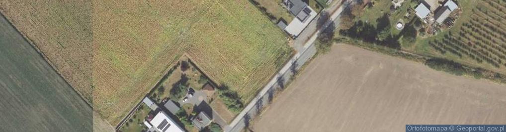 Zdjęcie satelitarne Powidzka ul.