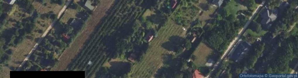 Zdjęcie satelitarne Pod Dębem ul.