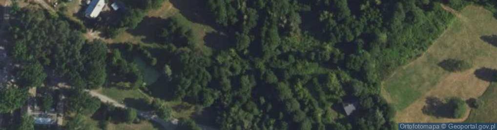 Zdjęcie satelitarne Polnych Kwiatów ul.