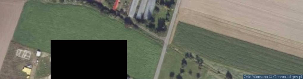 Zdjęcie satelitarne Podlesie ul.