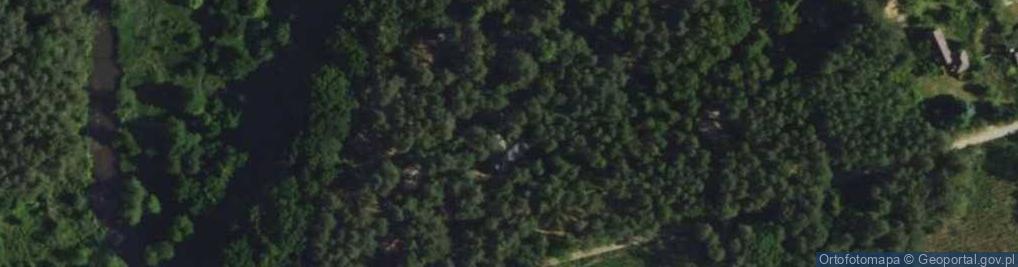 Zdjęcie satelitarne Porzeczkowa ul.