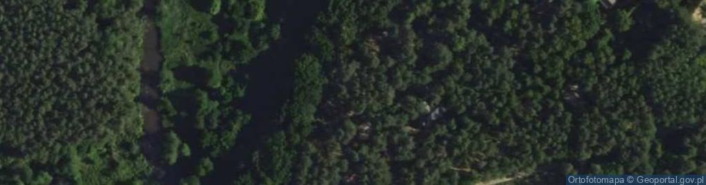 Zdjęcie satelitarne Porzeczkowa ul.