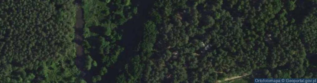 Zdjęcie satelitarne Porzeczkowa ul.