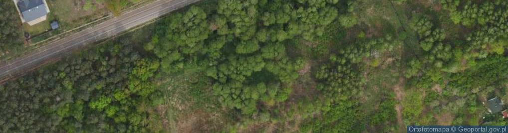 Zdjęcie satelitarne Podwiejska ul.
