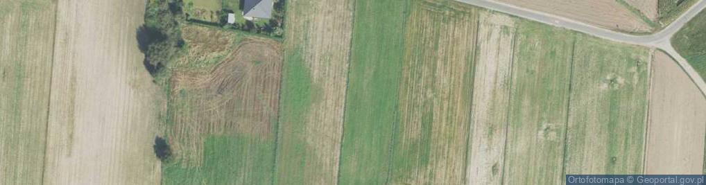 Zdjęcie satelitarne Powstańców Warszawskich ul.