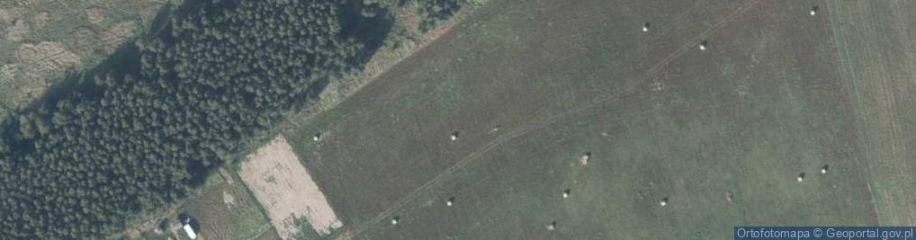 Zdjęcie satelitarne Podleśna ul.