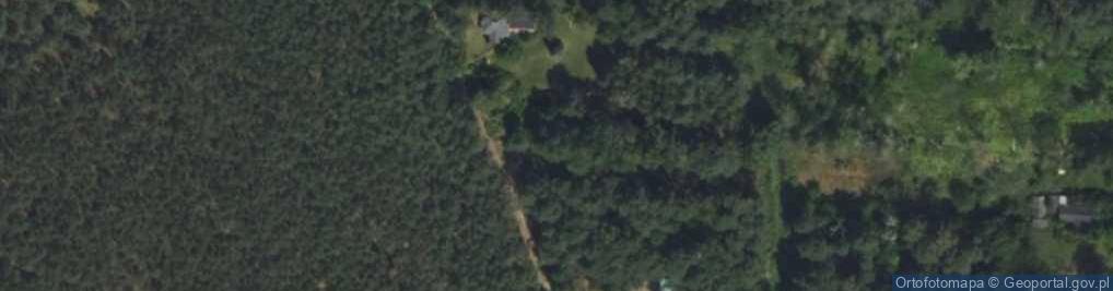 Zdjęcie satelitarne Podleśna ul.
