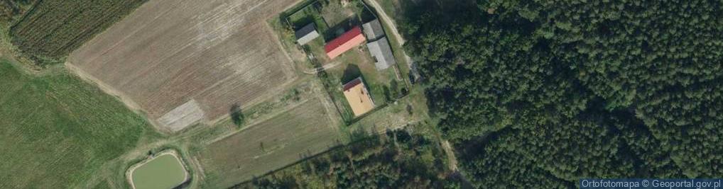 Zdjęcie satelitarne Polany ul.