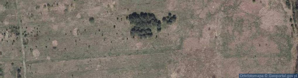 Zdjęcie satelitarne Pod Lasem ul.