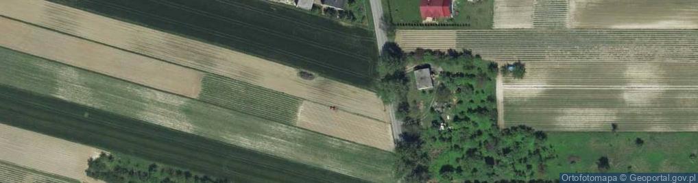 Zdjęcie satelitarne Pod Lipą ul.