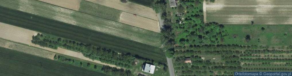 Zdjęcie satelitarne Pod Lipą ul.