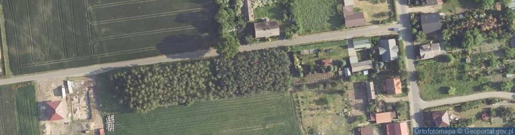 Zdjęcie satelitarne Pogodna ul.