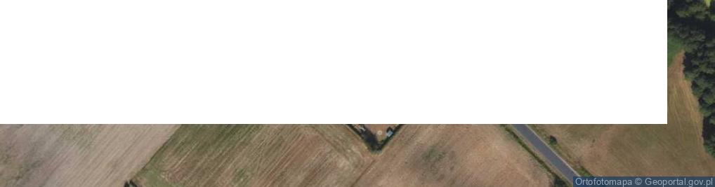 Zdjęcie satelitarne Podstawowa ul.