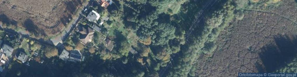 Zdjęcie satelitarne Poznańska ul.