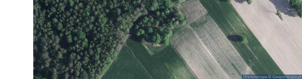 Zdjęcie satelitarne Podleśna ul.