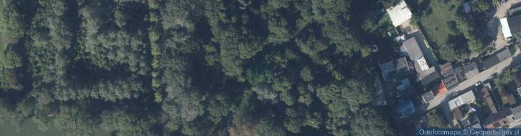 Zdjęcie satelitarne Powstańców Wielkopolskich ul.