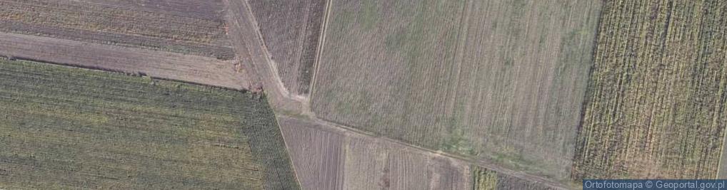 Zdjęcie satelitarne Podgrodzie ul.