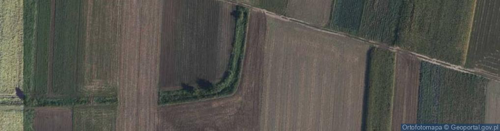 Zdjęcie satelitarne Podgrodzie ul.