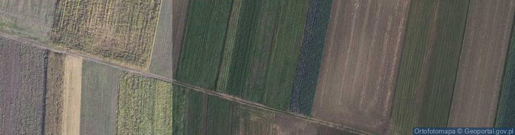 Zdjęcie satelitarne Podgrodzie ul.