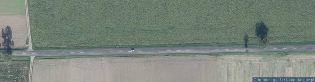 Zdjęcie satelitarne Poznańska ul.