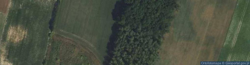 Zdjęcie satelitarne Polna ul.