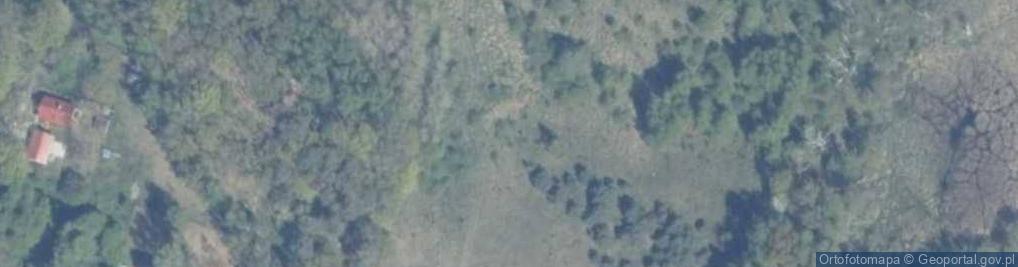 Zdjęcie satelitarne Podgrodzie ul.