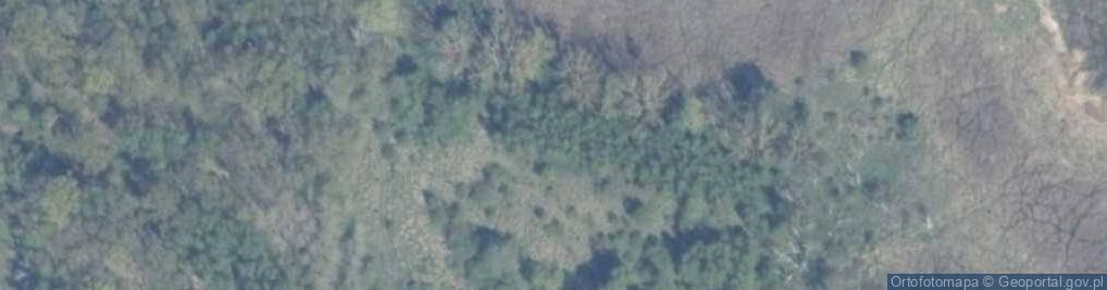 Zdjęcie satelitarne Podgrodzie ul.