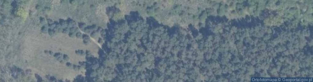 Zdjęcie satelitarne Podgrodzie ul.