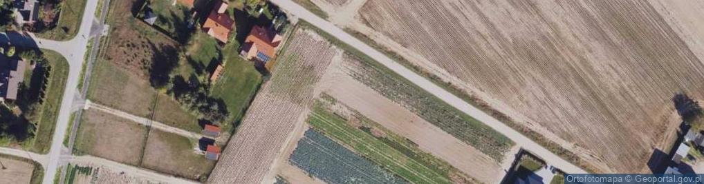 Zdjęcie satelitarne Pod Kasztanem ul.