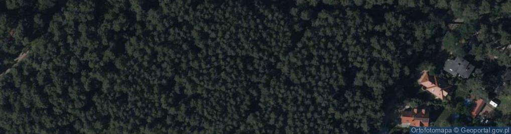 Zdjęcie satelitarne Pola Wincentego ul.