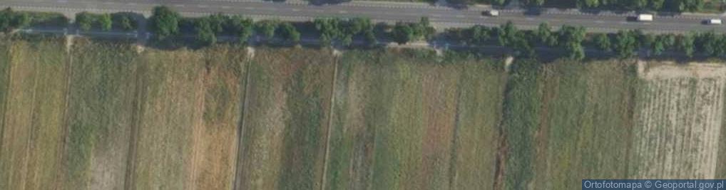 Zdjęcie satelitarne Poznańska ul.