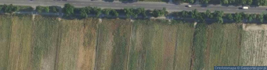 Zdjęcie satelitarne Poznańska ul.