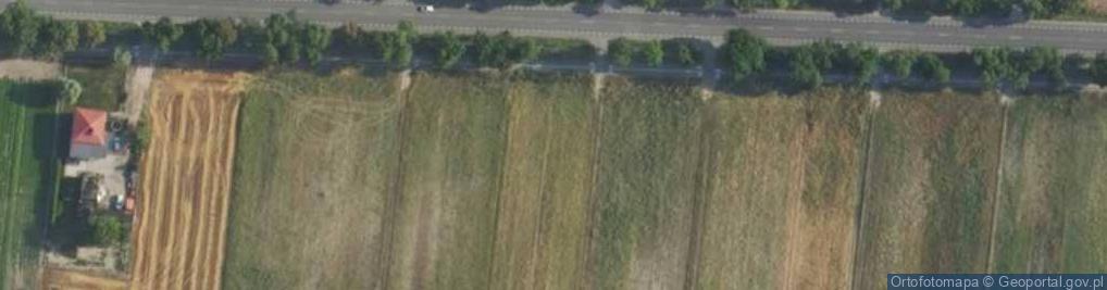 Zdjęcie satelitarne Poznańska ul.