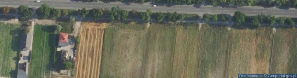 Zdjęcie satelitarne Poznańska ul.