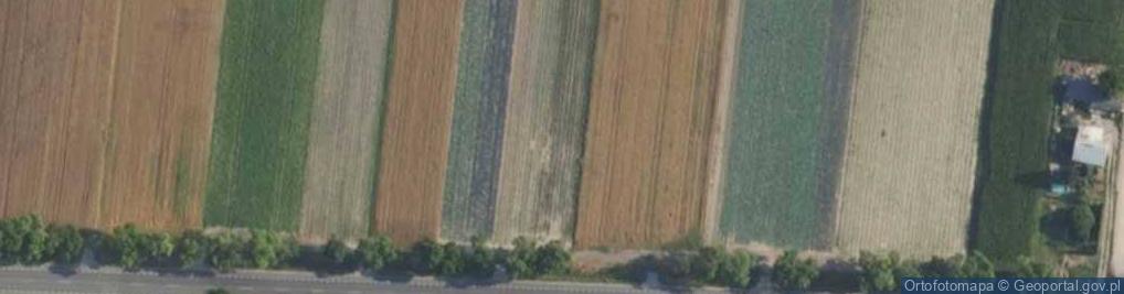 Zdjęcie satelitarne Poznańska ul.