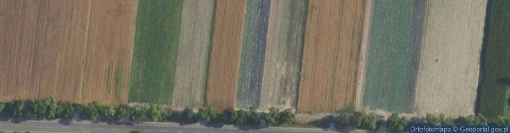 Zdjęcie satelitarne Poznańska ul.