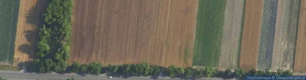 Zdjęcie satelitarne Poznańska ul.