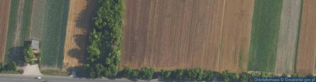 Zdjęcie satelitarne Poznańska ul.