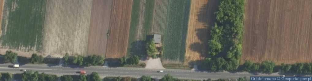 Zdjęcie satelitarne Poznańska ul.