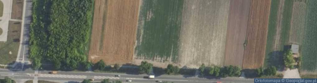 Zdjęcie satelitarne Poznańska ul.