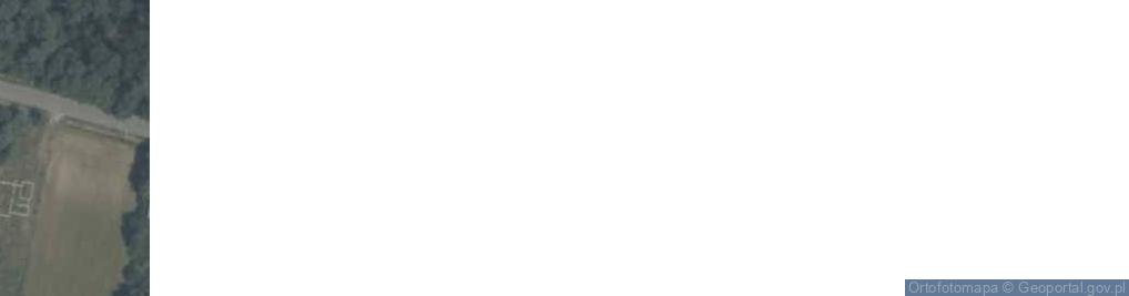 Zdjęcie satelitarne Podlesie ul.